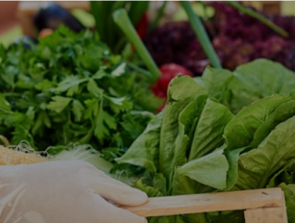 Modernizing Food